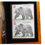 2004 The Great Grizzly $8 Limited-Edition Stamp and Coin Set