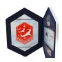 2006 Canadian Forces Snowbirds Stamp & Coin Set