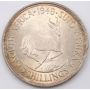 1948 South Africa 5 Shillings Springbok large silver coin toned Choice UNC