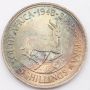 1948 South Africa 5 Shillings Springbok large silver coin toned Uncirculated