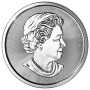 Magnificent Maples Royal Canadian Mint - 10 oz. 99.99% Pure Silver Coin (Random year 2017-2024)