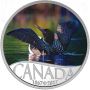 2017 Canada $10 Common Loon: Celebrating Canada's 150th Fine Silver Coin 