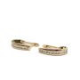 10 Karat Yellow Gold Ladies Diamond Leverback Earrings