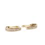 10 Karat Yellow Gold Ladies Diamond Leverback Earrings