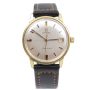 Omega Seamaster Crosshair Dial Vintage Automatic Cal 565 Swiss Made Watch 