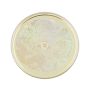 2000 Canada $150 Year of the Dragon Gold Coin Hologram Proof Box & COA