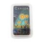 2019 $20 Canada Shag Harbour Incident Unexplained Phenomena 1oz Pure Silver Coin 0.9999 