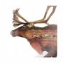 2017 $20 Fine Silver Coin – Nature's Impressions: Woodland Caribou