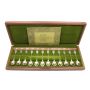 Royal Horticultural Society 12x English Flower Spoons .925 silver box & booklet 