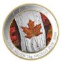 2016 Canada $250 1 Kilo Pure Silver Colour Proof Coin Autumn Maple Leaf RCM