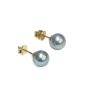 14 Karat Yellow Gold Blue Pearl Stud Earrings 