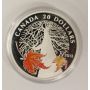 2013 $20 Canadian Maple Canopy Autumn .9999 Fine Silver Proof Coin