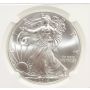 2014 American Silver Eagle $1 Coin ASE NGC MS 69 