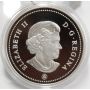 2x 2006 Canada $1 Silver Dollars Medal of Bravery 