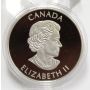 2013 Canada $5 Pure Silver Coin - Devil's Brigade 