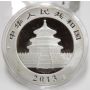 2x 2013 1 oz Chinese Silver Panda 10 Yuan .999 Silver and 24k Gold Gilded Coins