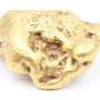 311.5 gram Placer Gold Nugget from Atlin British Columbia Extremely Rare