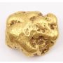 311.5 gram Placer Gold Nugget from Atlin British Columbia Extremely Rare