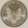 1996 American Silver Eagle 1 oz .999 Silver Key Date