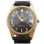Omega Seamaster 166.010 Black Tropical Dial Automatic Mens 1966 Watch