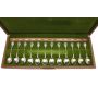 Royal Horticultural Society 12x English Flower Spoons .925 silver box & booklet 