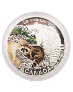 2016 Canada $20 Baby Animals: Raccoon - Pure Silver Coin