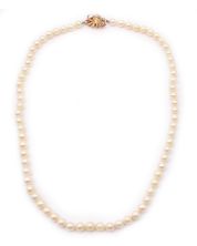 Akoya Pearl necklace 14K yg ornate clasp 