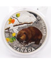 2014 Canada $20 Proof Fine Silver Coin Baby Animals Beaver