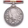 Fenian Raid 1866 Pte. A. Morton N.Hamburg. I.Co. 