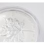 1998 Canada $50 Fine 99.99% 10 oz  Silver Maple Leaf 10th Anniversary 