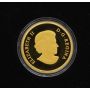 2017 Canada $200 Pure Gold Coin – Welcome to the World – 15.43g .9999 Fine 