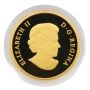 2017 Canada $200 Pure Gold Coin – Welcome to the World – 15.43g .9999 Fine 