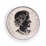 2013 25-Cent Coloured Coin – Wood Duck