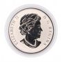 2014 25-Cent Coloured Coin – Ducks of Canada – Pintail