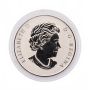 2013 50-Cent Coin – Lenticular Snowman