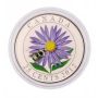 2012 25-Cent Coloured Coin – Aster and Bumble Bee