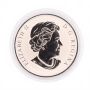 2014 25-Cent Coloured Coin – 2014 FIFA World Cup