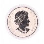 2013 25-Cent Coloured Coin – Purple Coneflower and Eastern Tailed Blue