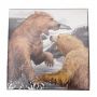 2016 $20 Fine Silver Coin – Grizzly Bear: The Battle
