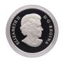 2013 $25 Fine Silver Coin – The Polar Bear