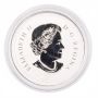 2013 $20 Fine Silver Coin – Year of the Snake