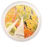 2019 $30 Canadian Canopy The Canada Goose - Pure Silver Coin