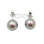 11mm Tahitian Black Pear Earrings 18K wg cup French Post 5.8 grams with appraisal $2800.