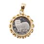 1989 Isle of Man 1/10 Crown Platinum Coin Proof Coin Persian Cat with 14k Bezel