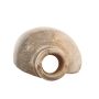 HMS Pandora Shipwreck artifacts with letter of provenance from Robert F Marx