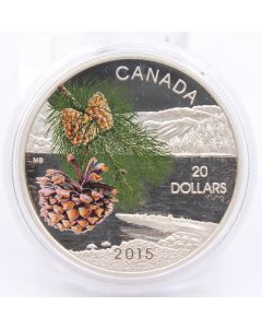 2015 Canada $20 dollar proof silver coin Flora Coast Shore Pine Cone 