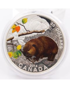 2014 Canada $20 Proof Fine Silver Coin Baby Animals Beaver